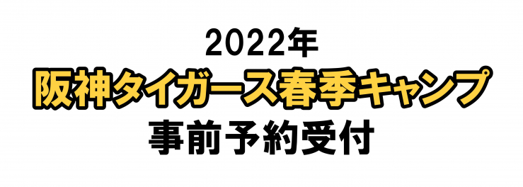 最新ータイガース2022.jpg